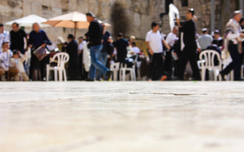 Olioliva 2026: a Imperia il concorso fotografico sul gusto